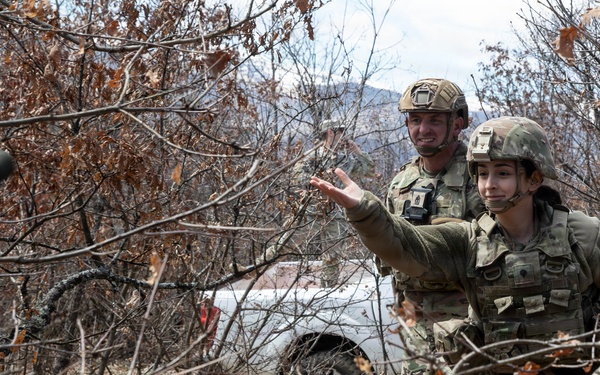 KFOR units synchronize efforts during medevac hoist training