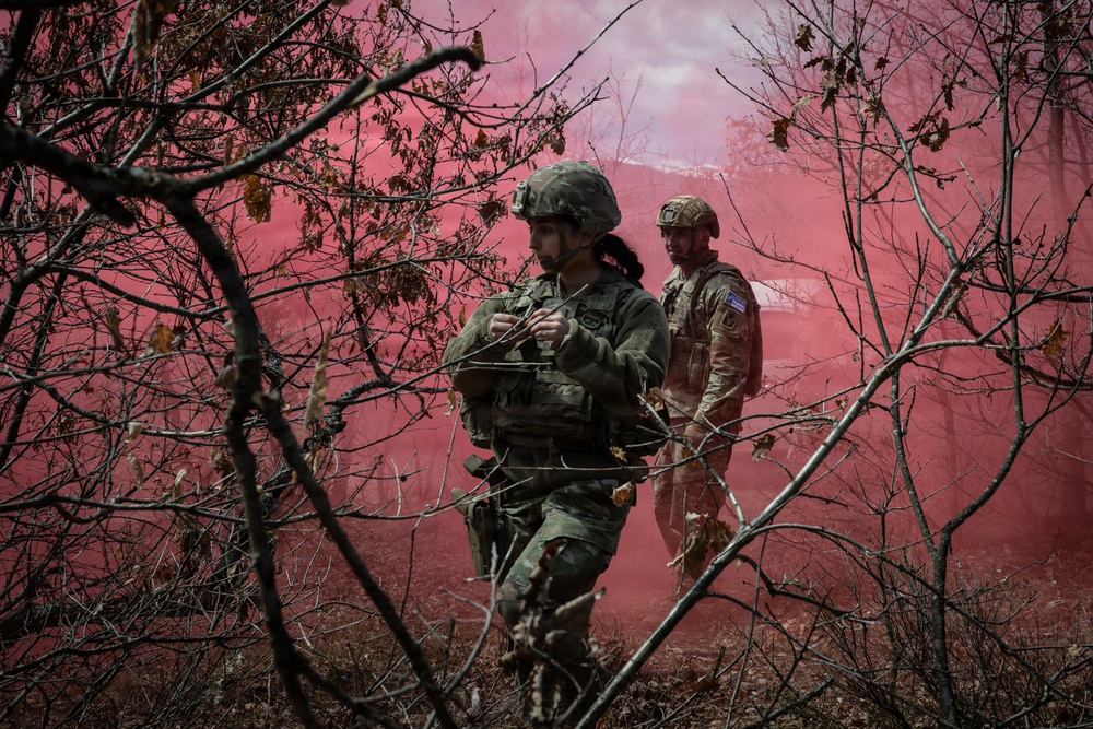 KFOR units synchronize efforts during medevac hoist training