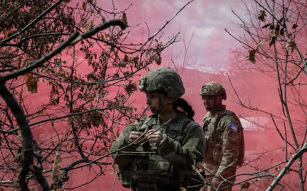 KFOR units synchronize efforts during medevac hoist training