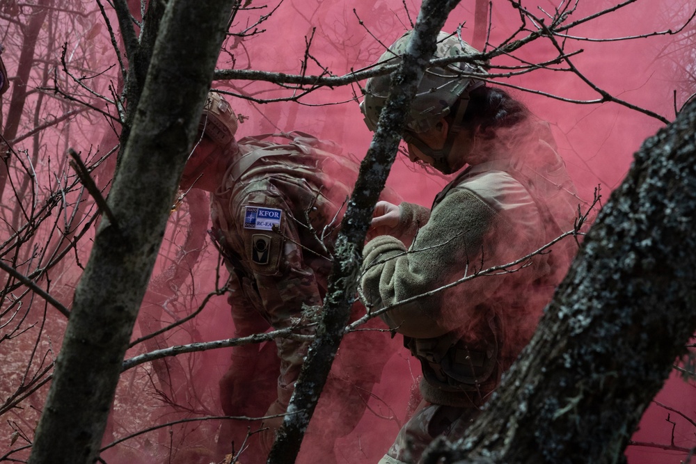 KFOR units synchronize efforts during medevac hoist training