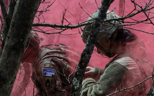 KFOR units synchronize efforts during medevac hoist training