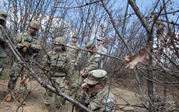 KFOR units synchronize efforts during medevac hoist training