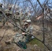 KFOR units synchronize efforts during medevac hoist training
