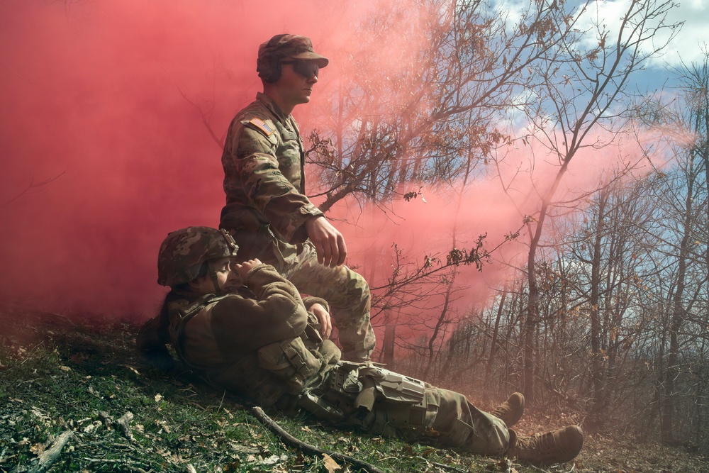 KFOR units synchronize efforts during medevac hoist training