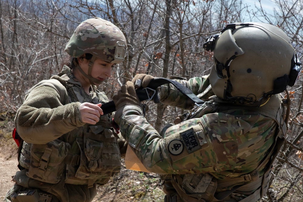 KFOR units synchronize efforts during medevac hoist training