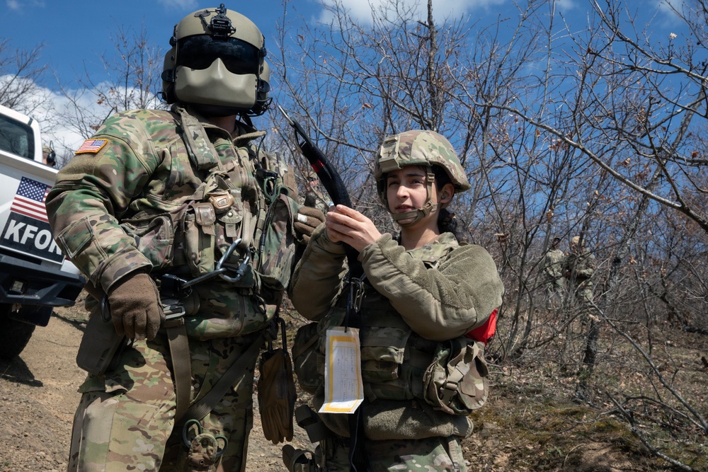 KFOR units synchronize efforts during medevac hoist training
