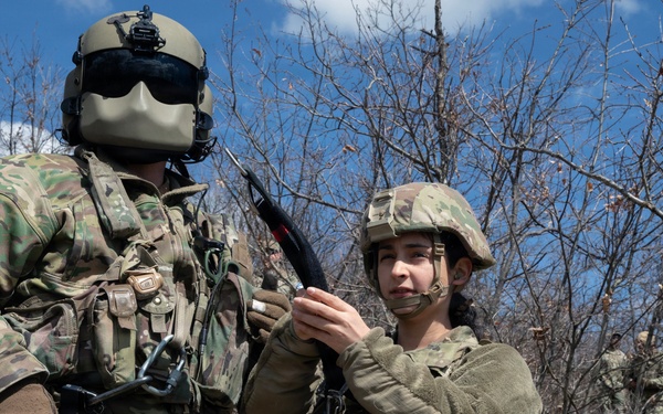 KFOR units synchronize efforts during medevac hoist training