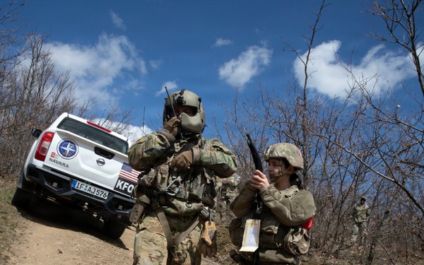 KFOR units synchronize efforts during medevac hoist training