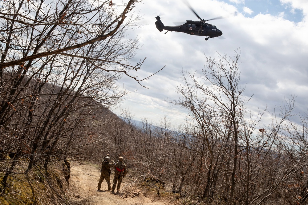 KFOR units synchronize efforts during medevac hoist training