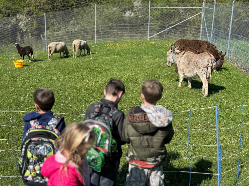 Nature informational day at Soldiers Lake for German and American Students