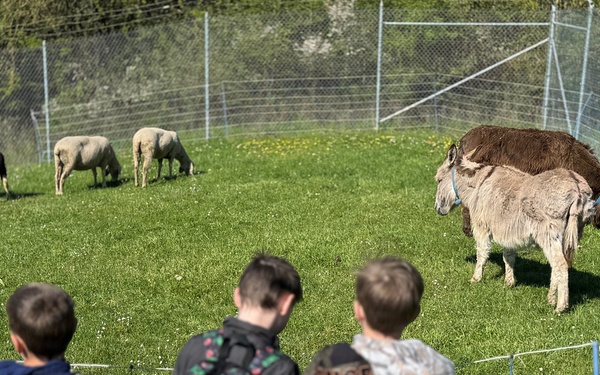 Nature informational day at Soldiers Lake for German and American Students