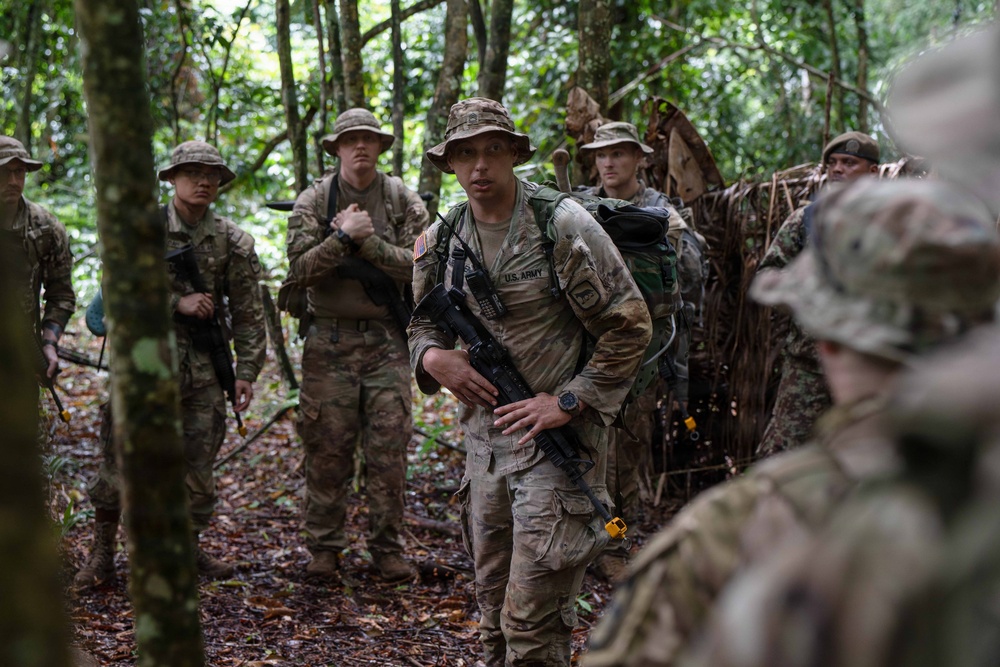 Operation Rumble in the Jungle
