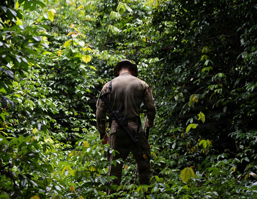 Operation Rumble in the Jungle