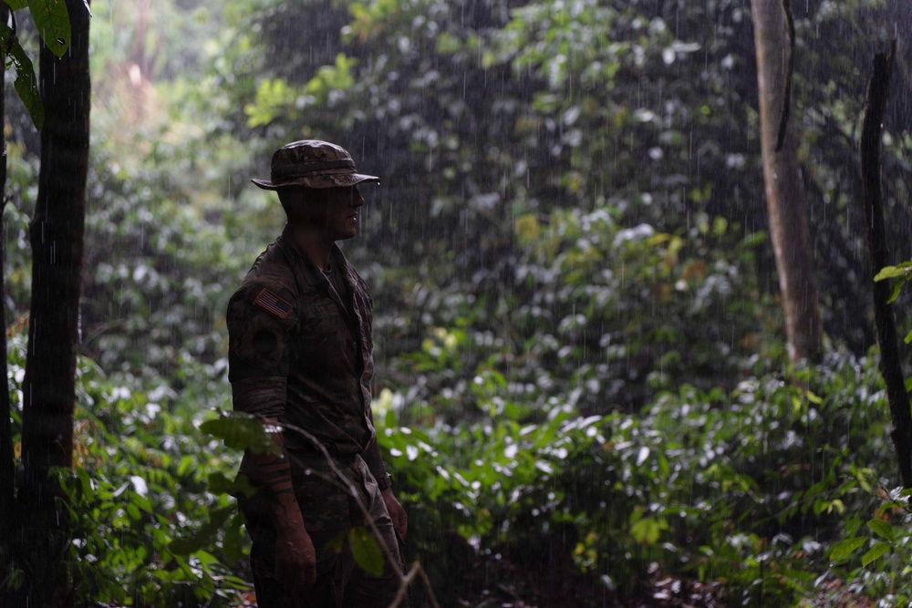 Operation Rumble in the Jungle