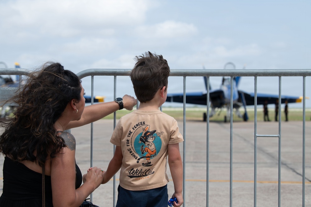 Wings over South Texas Airshow