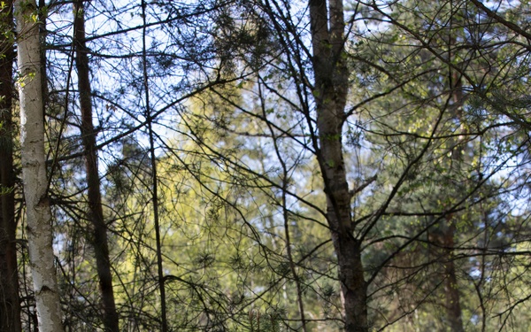 21st Theater Sustainment Command Best Squad Competition