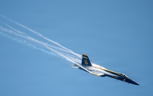 Wings over South Texas Airshow