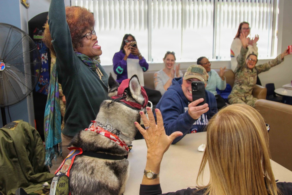 Sapper named USO Canine Volunteer of the Year