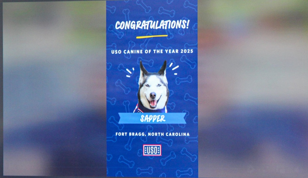 Sapper named USO Canine Volunteer of the Year