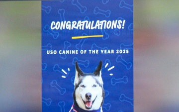 Sapper named USO Canine Volunteer of the Year