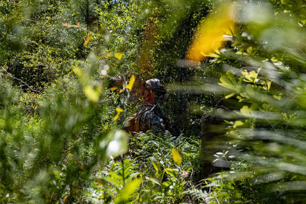 2nd CEB MCCRE: Live-Fire Platoon Attack