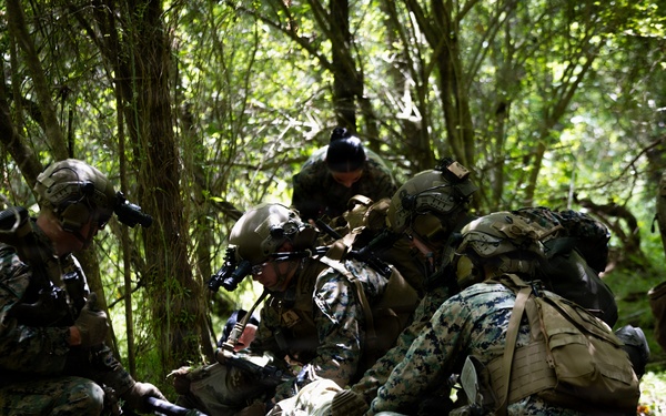 24th MEU V32 TRAP Exercise