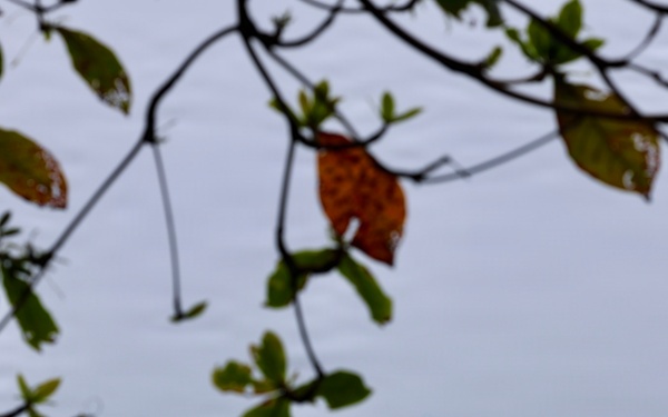 U.S. and Cameroonian Engineers Collaborate on Bathymetric Survey for Obangame Express 2026