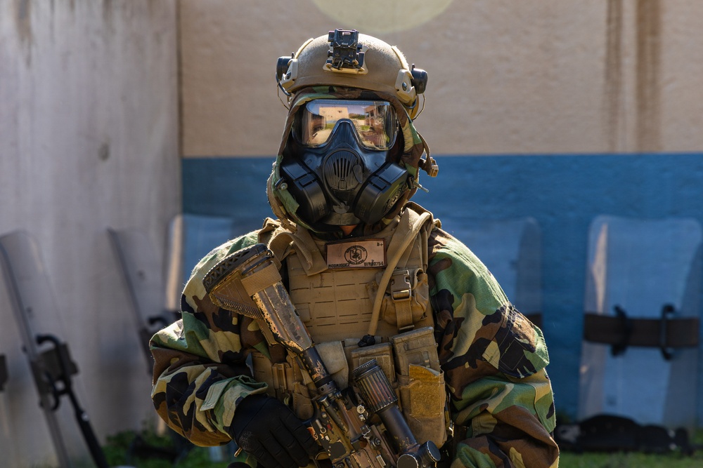 24th MEU: Embassy Reinforcement