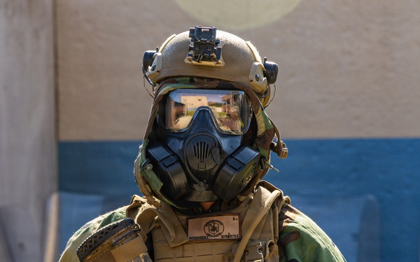 24th MEU: Embassy Reinforcement