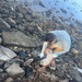 NEPMU SIX EARTH DAY CLEAN UP