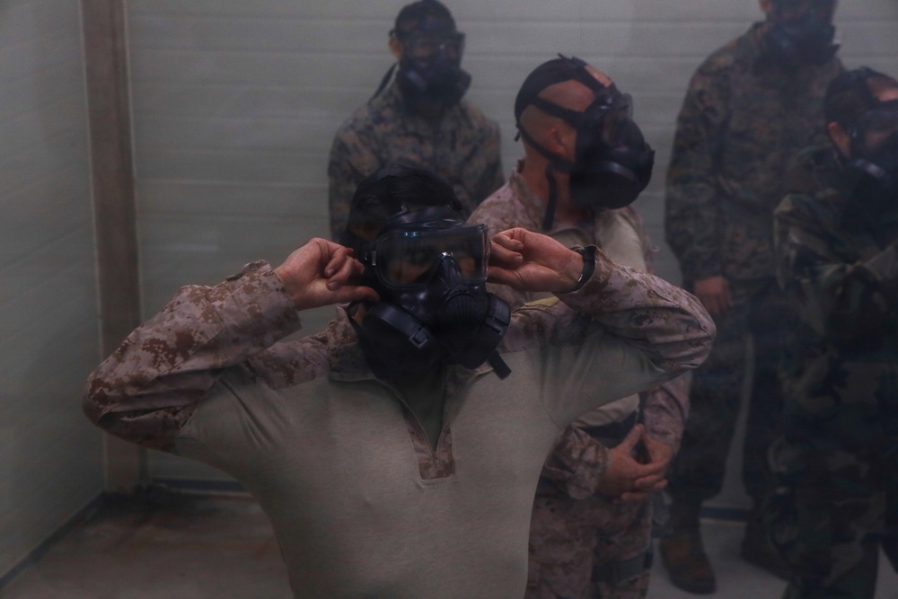 MWSS-174 performs confidence course at Kunsan Air Base, South Korea