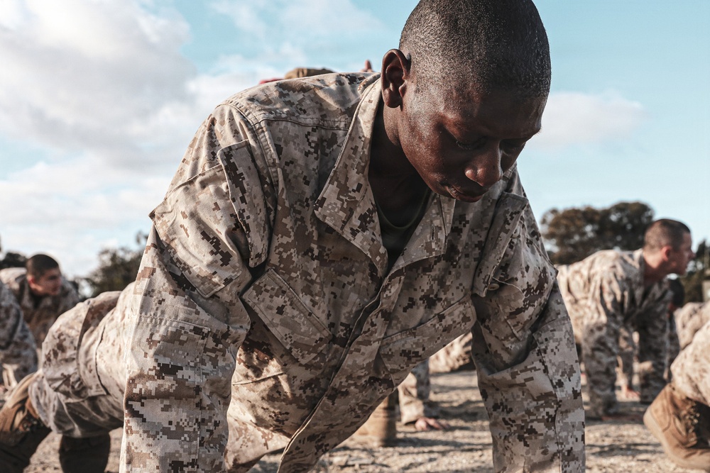 Charlie Company Pugil Sticks