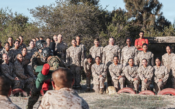 Charlie Company Pugil Sticks