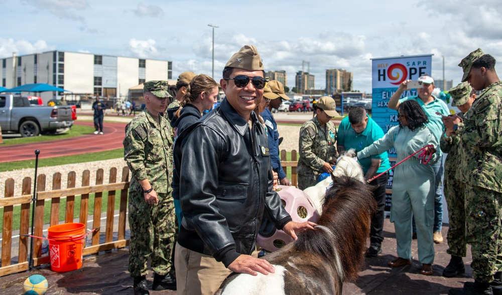 Saddle Up for Support: NBSD Ponies for Prevention