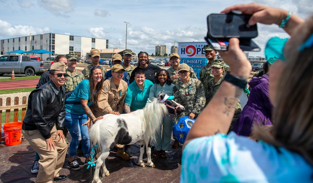 Saddle Up for Support: NBSD Ponies for Prevention
