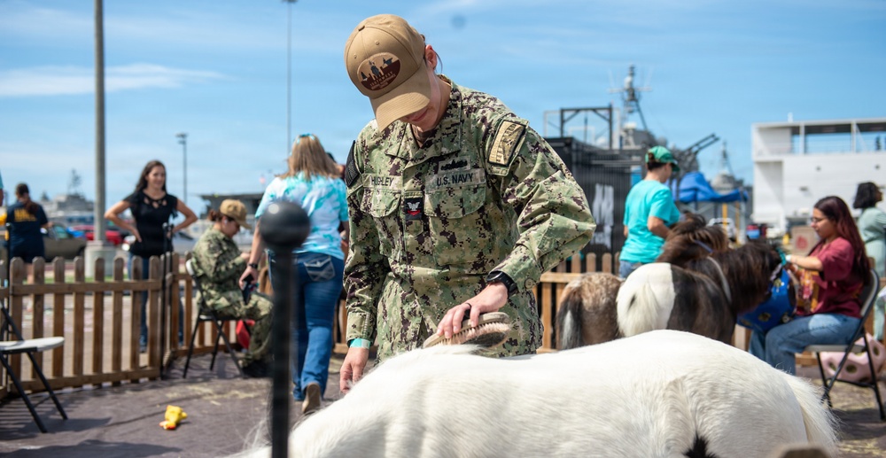 Saddle Up for Support: NBSD Ponies for Prevention