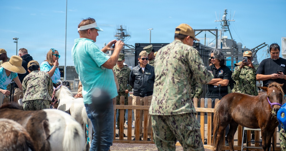 Saddle Up for Support: NBSD Ponies for Prevention