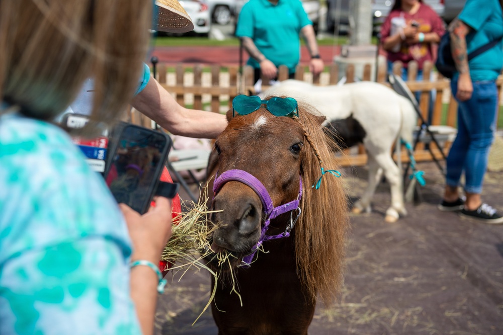 Saddle Up for Support: NBSD Ponies for Prevention