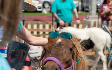 Saddle Up for Support: NBSD Ponies for Prevention