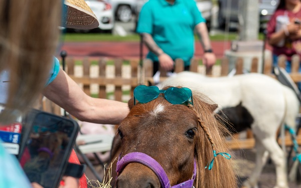Saddle Up for Support: NBSD Ponies for Prevention