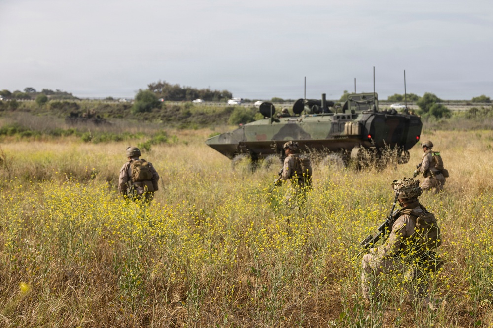 13th MEU Marines Participate in ACV Integration Training