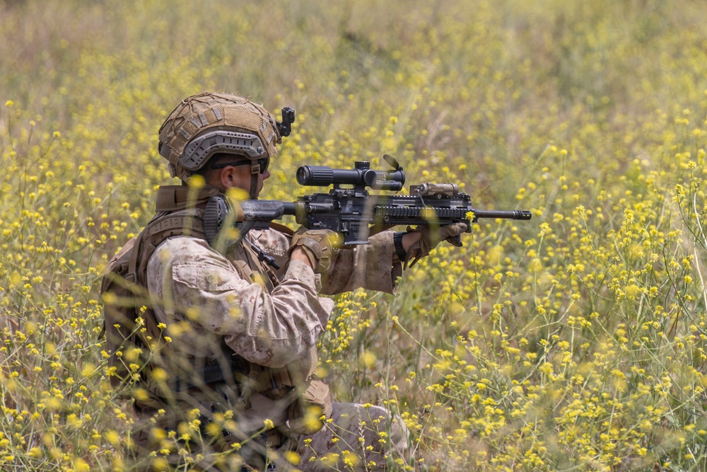 13th MEU Marines Participate in ACV Integration Training