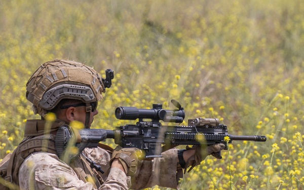 13th MEU Marines Participate in ACV Integration Training