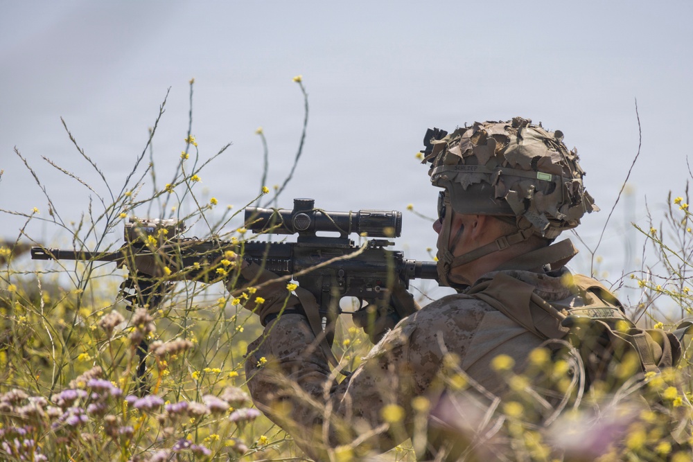 13th MEU Marines Participate in ACV Integration Training