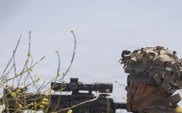 13th MEU Marines Participate in ACV Integration Training