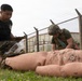 3rd Medical Battalion Conducts TCCC Training Course