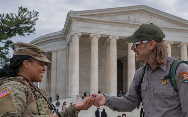 Joint Task Force Magnolia Soldiers support the D.C. Safe &amp; Beautiful mission at the Jefferson Memorial