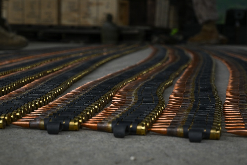 U.S. Marines and Sailors with Combat Logistics Regiment 35, 3rd Marine Logistics Group, Conduct Live-fire Training