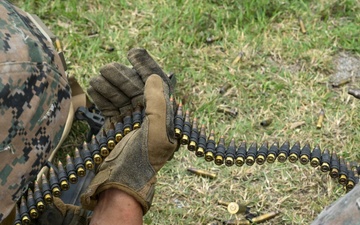 U.S. Marines and Sailors with Combat Logistics Regiment 35, 3rd Marine Logistics Group, Conduct Live-fire Training