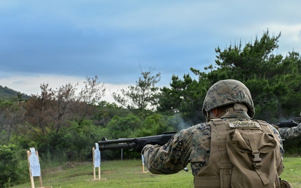 U.S. Marines and Sailors with Combat Logistics Regiment 35, 3rd Marine Logistics Group, Conduct Live-fire Training
